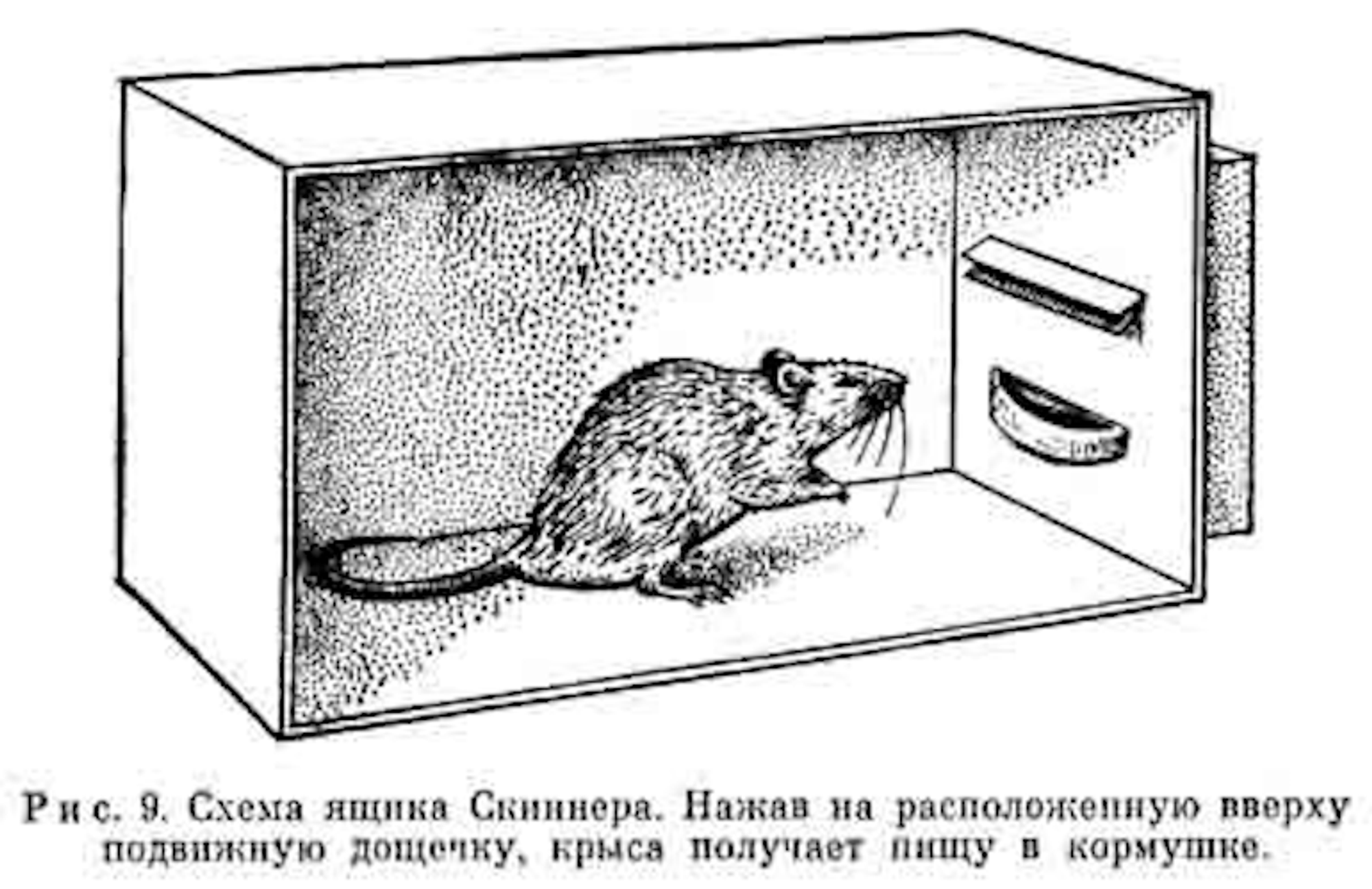 #366 – Почему мы подсаживаемся на новости, соцсети и игры? Все дело в дофамине.