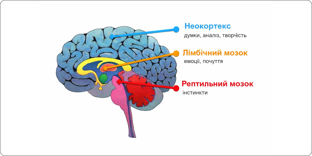 Ти не лінивий, просто твій мозок перевантажений